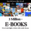 3 Million+ eBooks Bundle + 3 Million PLR Articles Bonus | Reseller Rights Included