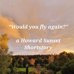 “Would You Fly Again?” – An English Suspense Story
